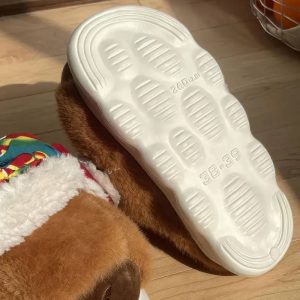 Chausson capybara rigolo